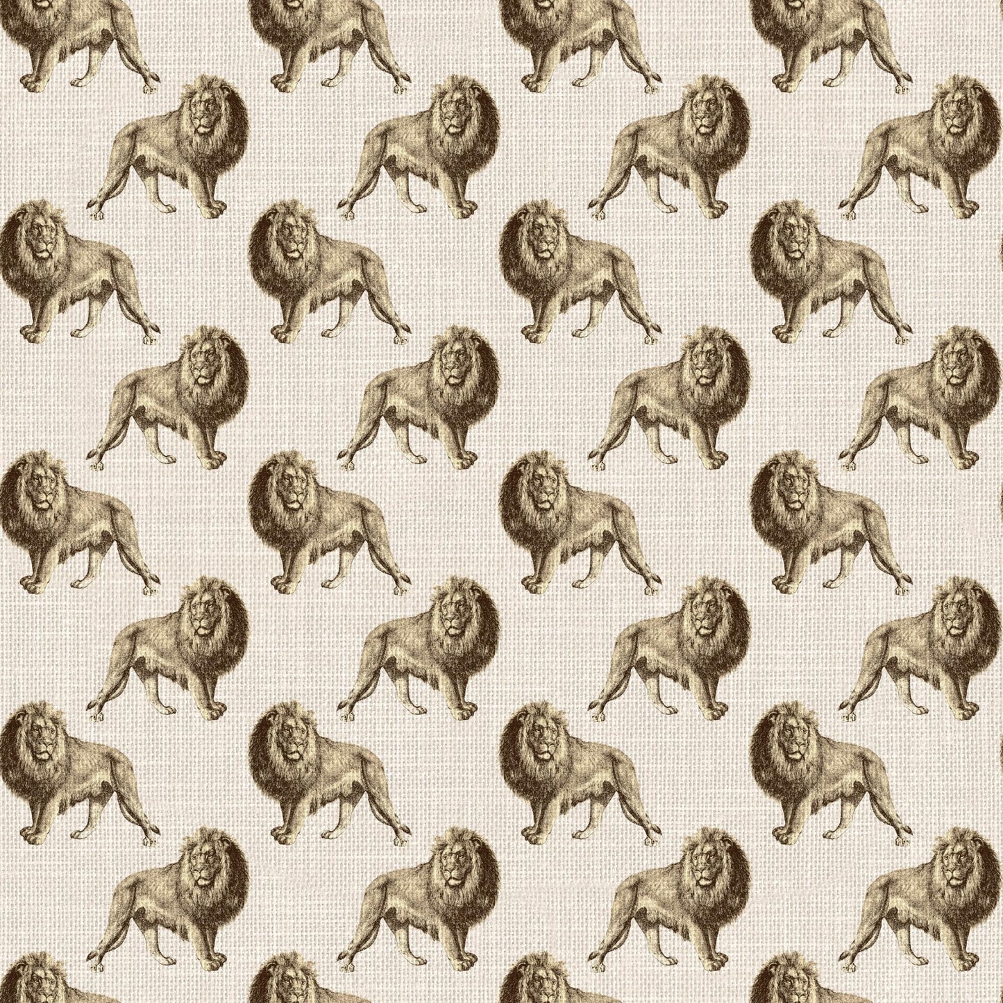 On a Safari - Boy Top